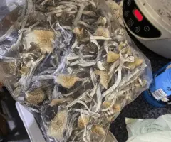 MAGIC SHROOMS