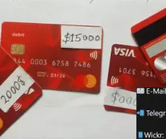 FRESH LIVE USA CREDIT CARDS NON VBV